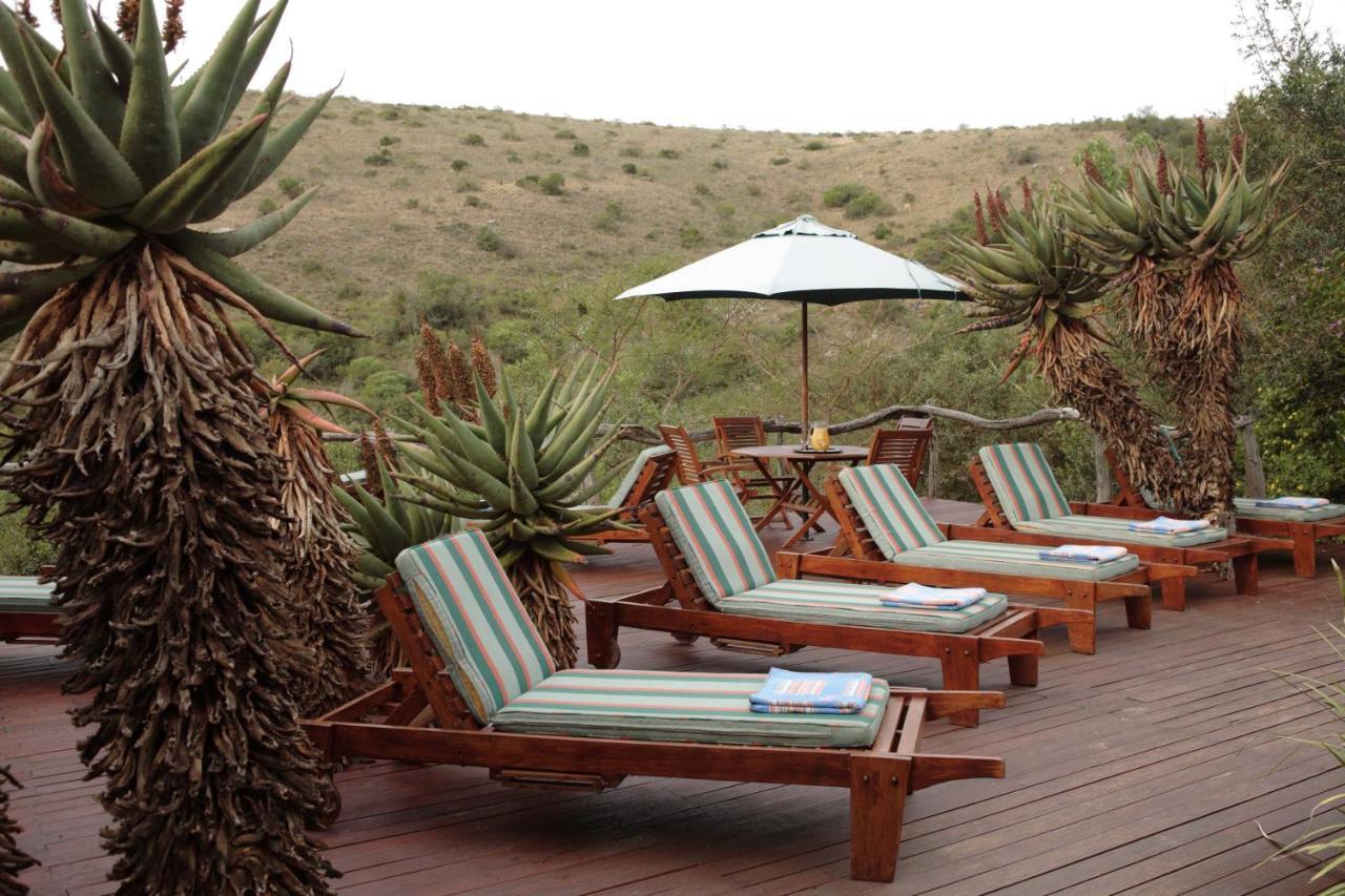 Lalibela Game Reserve Lentaba Safari Lodge Paterson Екстер'єр фото
